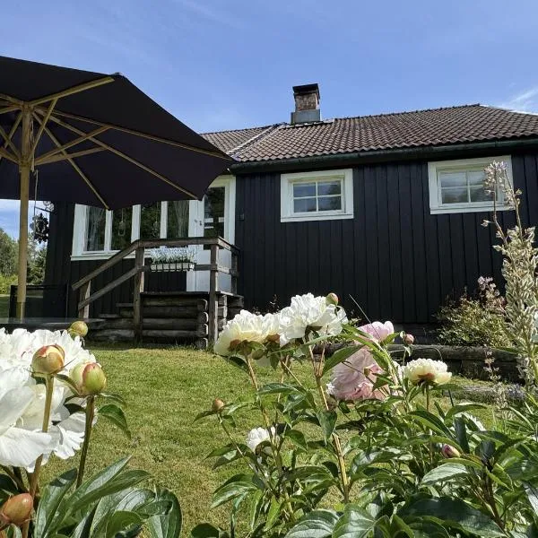 Rustic Haven Bed and Breakfast -Entire Private Apartment 2km from Klarälvsbanan and Swimming area,位于Munkfors的酒店