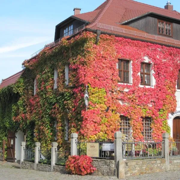 Altstadthotel Schloss Schänke garni，位于包岑的酒店