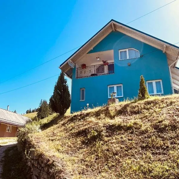 Casa Butunoi,位于Dămuc的酒店