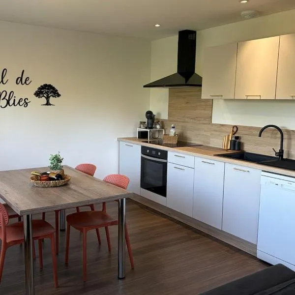 Au fil de la Blies,位于Bliesbruck的酒店