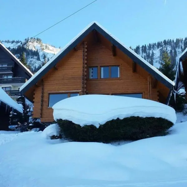 Chalet les Alpages vue panoramique sur le lac Léman,位于托隆的酒店
