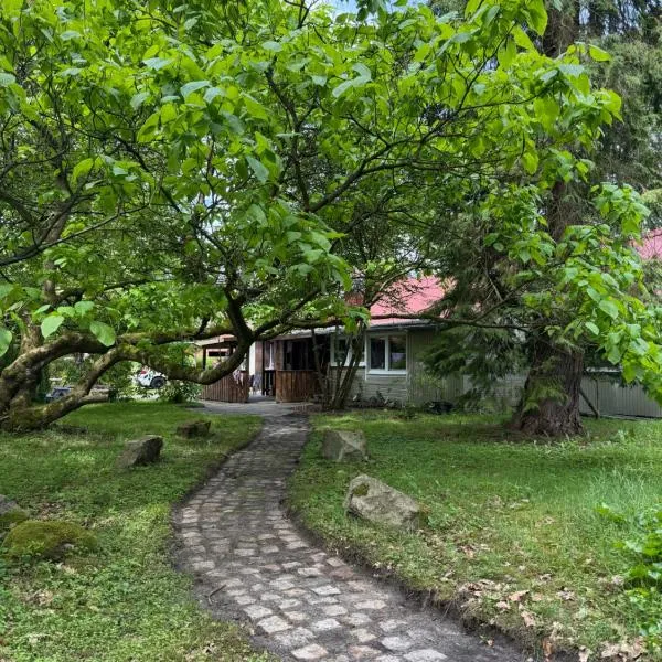 The Cottages - Pet Friendly，位于Meißendorf的酒店
