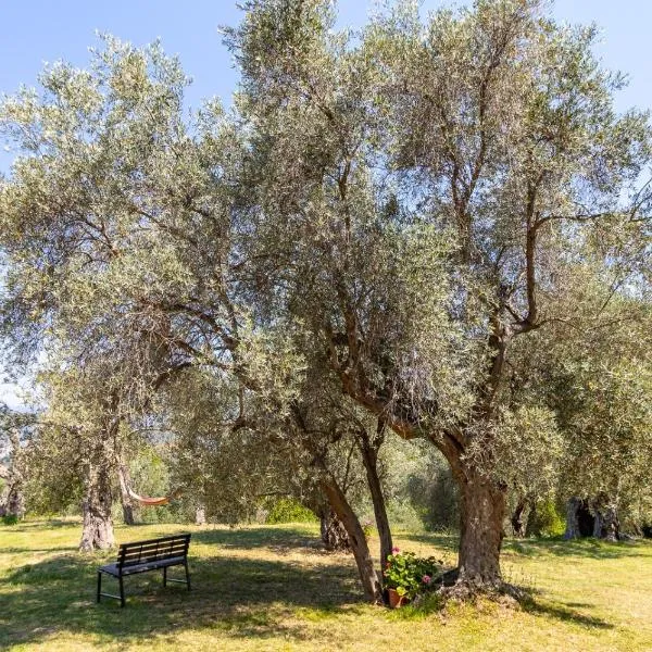 Whisper of Olives -Luxury, Privacy, Stunning Views，位于巴尔的酒店