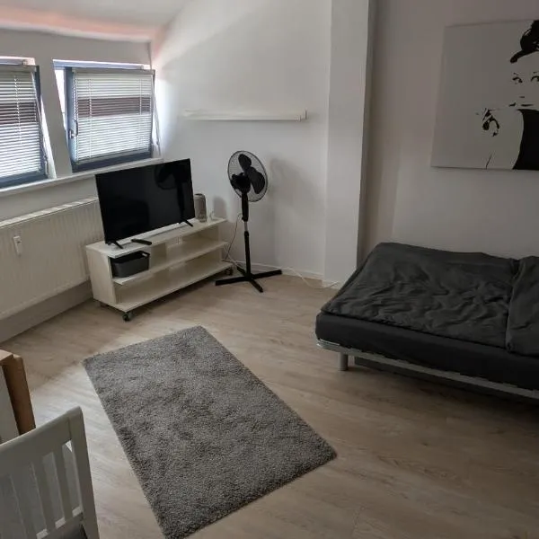 Gemütliche 1-Zimmer-Wohnung im Hildesheimer Wald，位于Diekholzen的酒店
