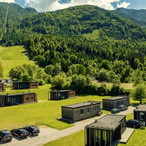 Chaletpark Petzen，位于Feistritz ob Bleiburg的酒店