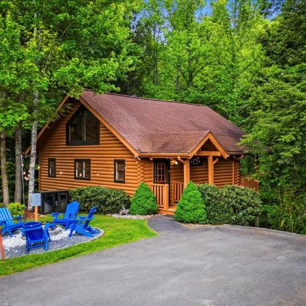 Love Me Tender Romantic Cabin in Wears Valley Hot Tub Pet Friendly，位于赛维尔维尔的酒店