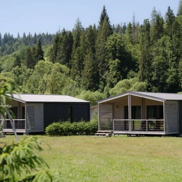 River Cottage Complex，位于Richka的酒店