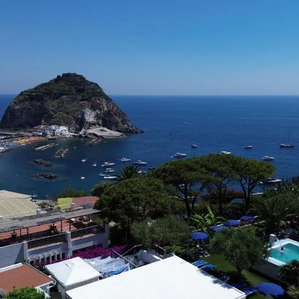 Hotel Casa Adolfo Ischia，位于圣安杰洛德伊察的酒店