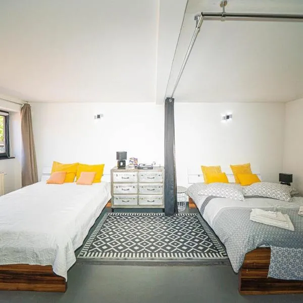 Loft Convivial- Wi-Fi - Cour & Piscine，位于Hartmannswiller的酒店