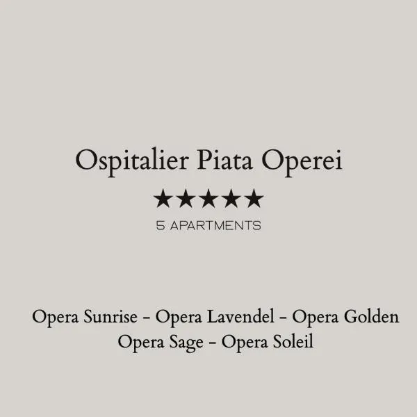 Ospitalier Piata Operei - 5 spacious apartments in City Center，位于蒂米什瓦拉的酒店