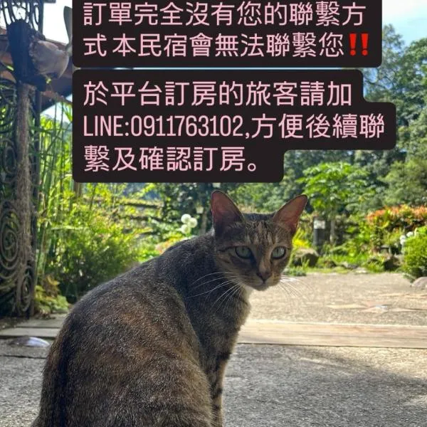 山行寄野民宿，位于南庄乡的酒店