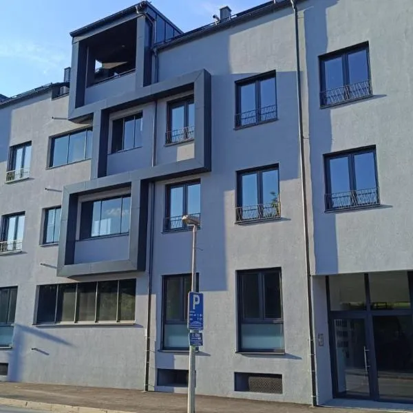 Apartman Rena，位于Ivanec的酒店