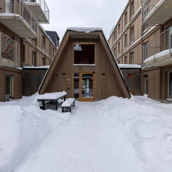Twintip Apartments，位于奥勒的酒店