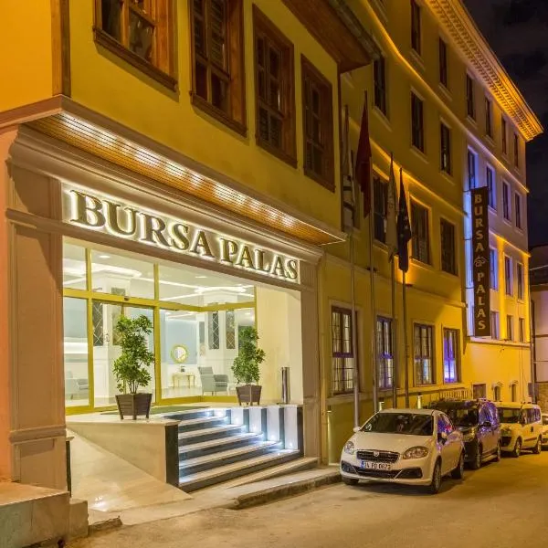 布尔萨帕拉斯酒店，位于Kirazlı的酒店