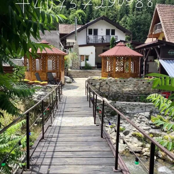 Podul De Brazi，位于克尔茨什瓦拉乡的酒店