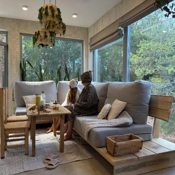 Nest Spa Mirror Villas,位于Medemciems的酒店