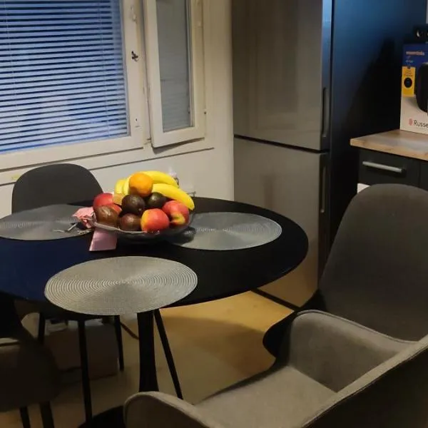 Multsu apartment,位于坦佩雷的酒店