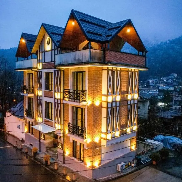 1 Hotel Borjomi,位于博尔若米的酒店
