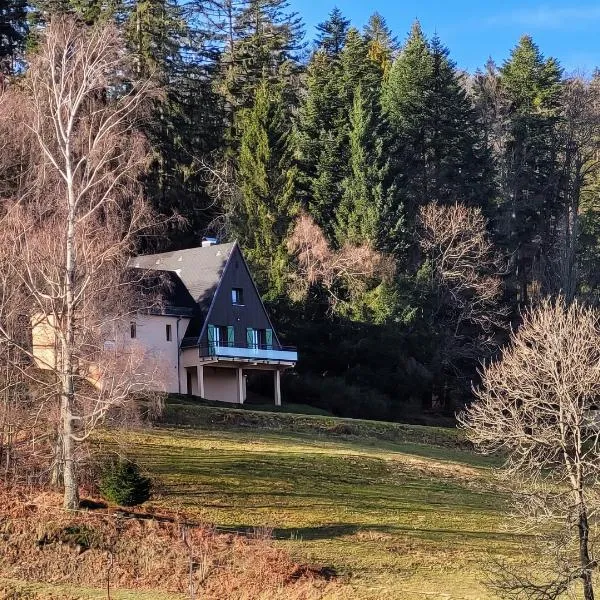 Chalet douillet avec vue panoramique à Kruth，位于克吕特的酒店