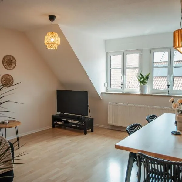 Weingut Kreglinger Ferienwohnung,位于Segnitz的酒店