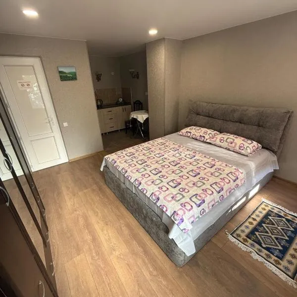 Heart of Mtskheta Studio Apartment，位于姆茨赫塔的酒店