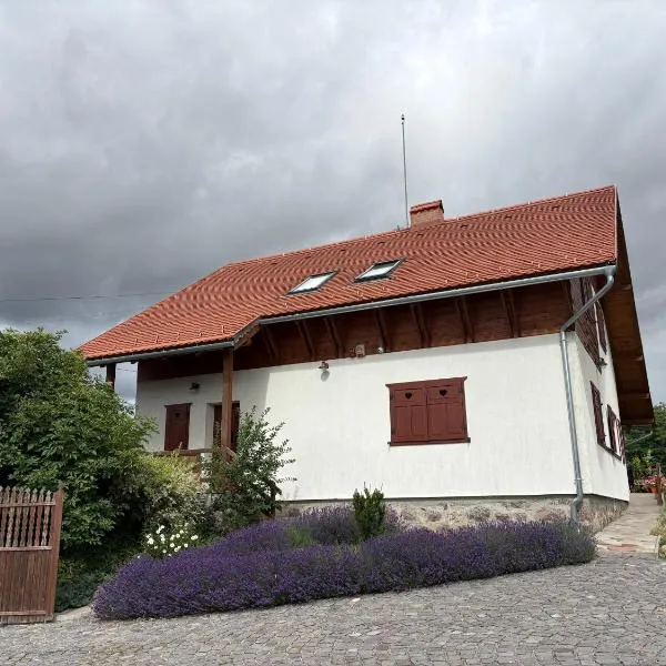 Eszter Guesthouse,位于Sîncrăieni的酒店