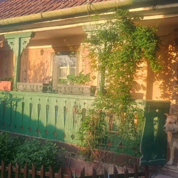 Stanciova Shura Stories farm stay，位于Stanciova的酒店