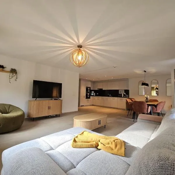 Habibi Apartment - Aare Jungfrau AG，位于维尔德斯韦尔的酒店
