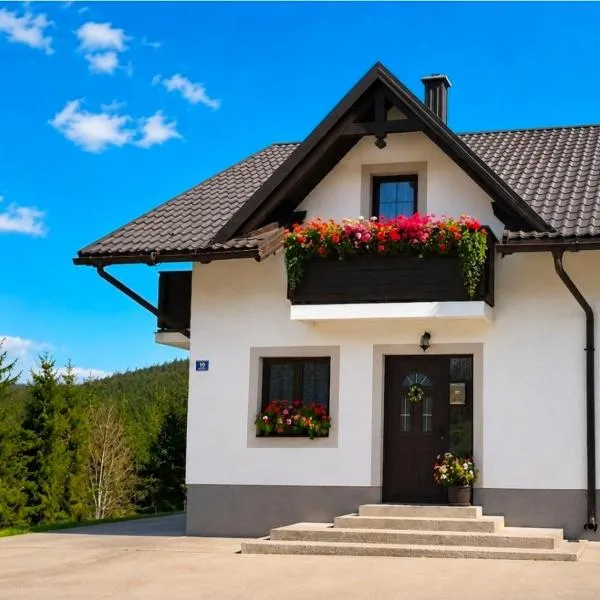 Apartman Malnar Lokve，位于洛克维的酒店