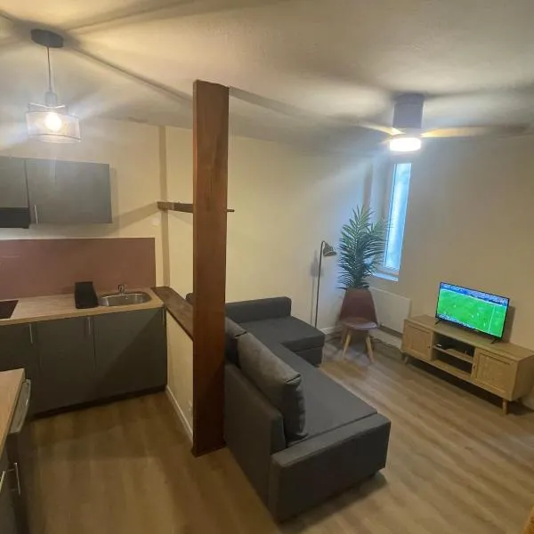 Duplex Poitiers Hôtel de ville avec Parking privé，位于普瓦捷的酒店