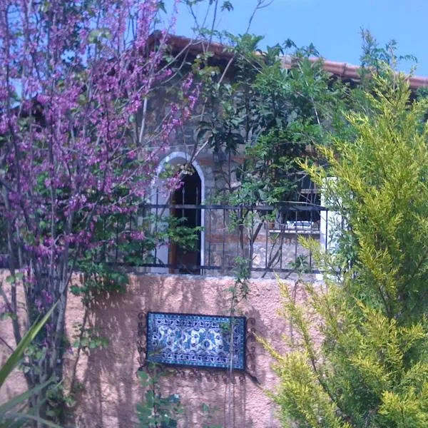 Fig Garden Cottages，位于卡亚克的酒店