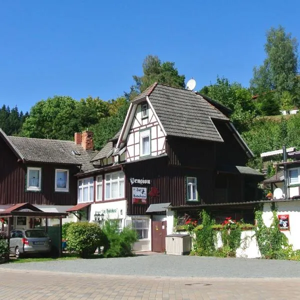 Ferienwohnungen Treseburg "Zur Bodehexe"，位于Stiege的酒店