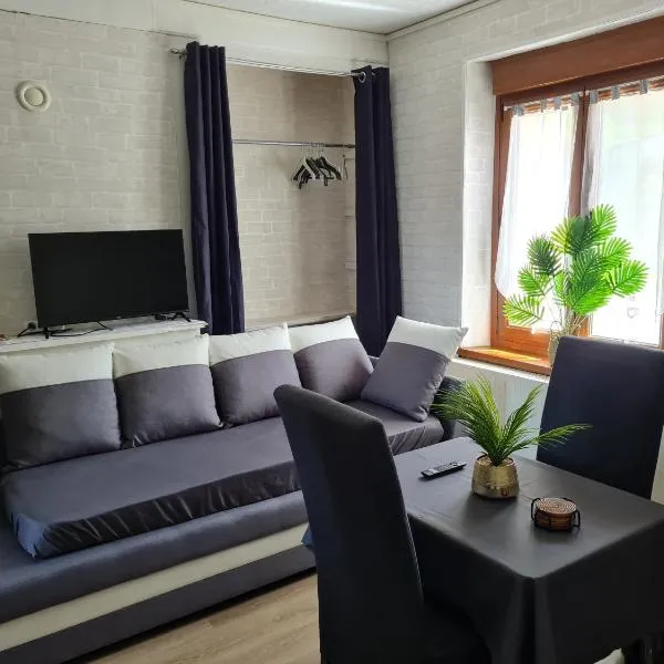 Le studio à la campagne，位于Saint-Gobert的酒店