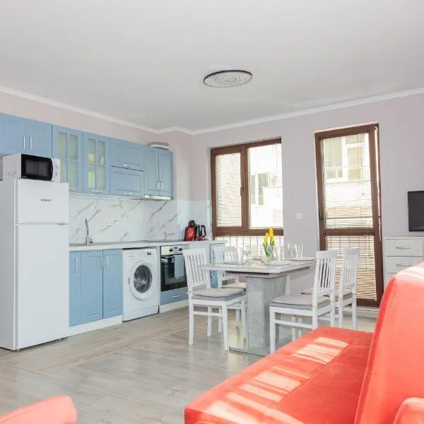 11 Villa Vitosha Family Stays，位于希萨里亚的酒店