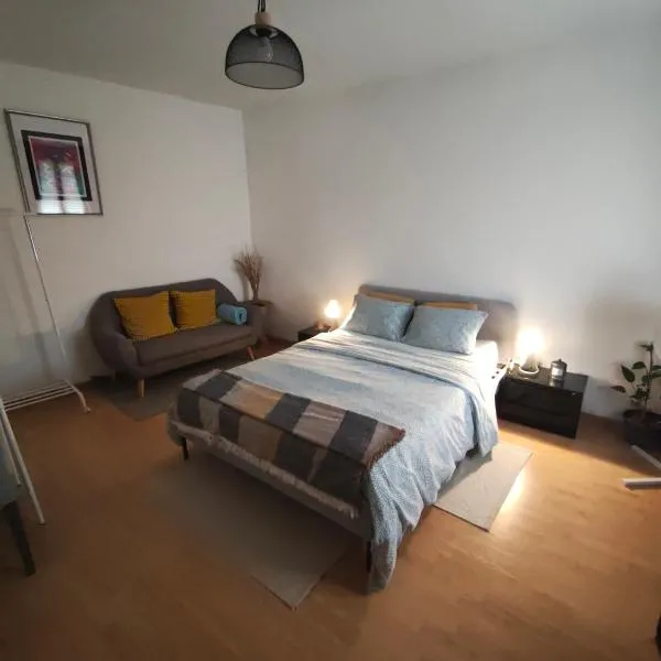 Chambre 1,位于Aniche的酒店