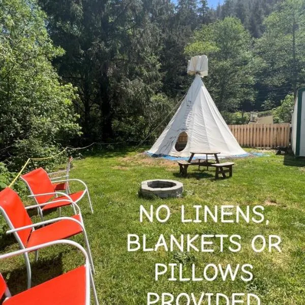 22ft authentic Tipi，位于蒂拉穆克的酒店
