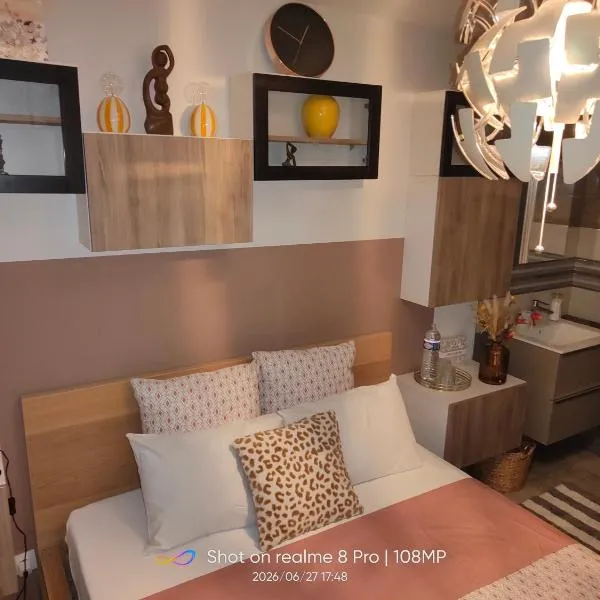 Charmante chambre 2 personnes petit déjeuner compris，位于Traînou的酒店