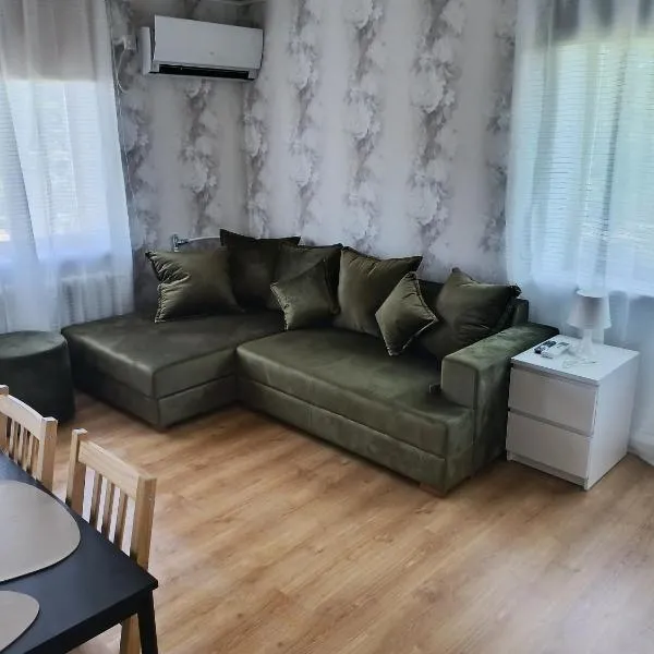 Viscosa Sadama tee külaliskorter,位于Kõrgessaare的酒店