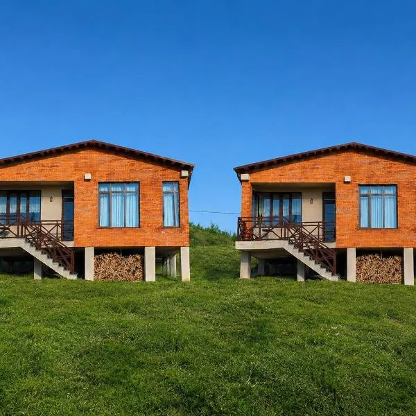Datvina Panorama Chalets Mravaldzali, Racha，位于Oni的酒店