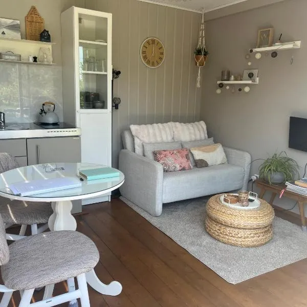 Tiny House Droom aan de Linge，位于Wadenoijen的酒店