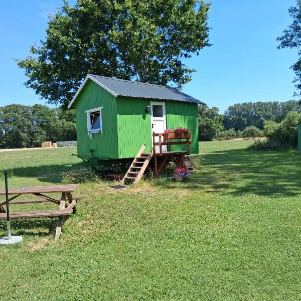 Tiny House，位于明斯特的酒店