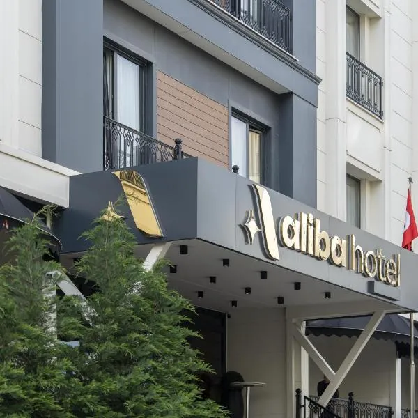ALİBA HOTEL，位于埃迪尔内的酒店
