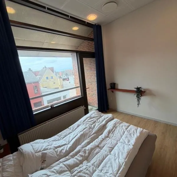 The Bank BnB Hirtshals Værelse 4，位于希茨海尔斯的酒店