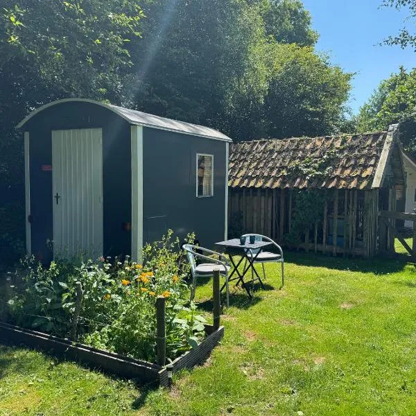 Kleine Pipowagen op natuurcamping，位于Wedde的酒店