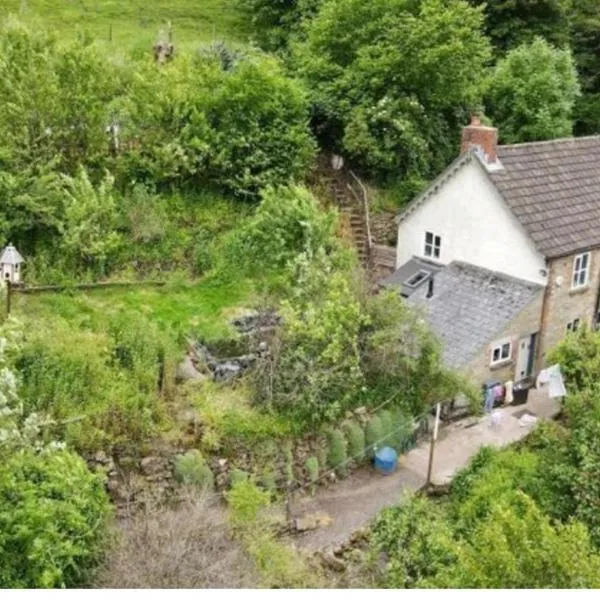 Tranquil Woodland Cottage by river Wye，位于Lydbrook的酒店