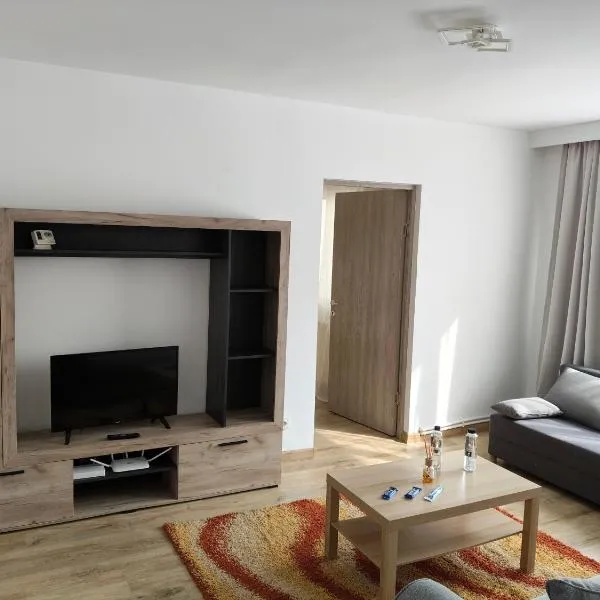 Intime Poto House Suceava，位于苏恰瓦的酒店