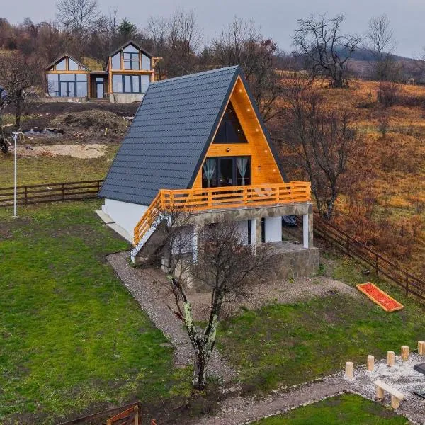 Art A Cabin，位于Teşila的酒店