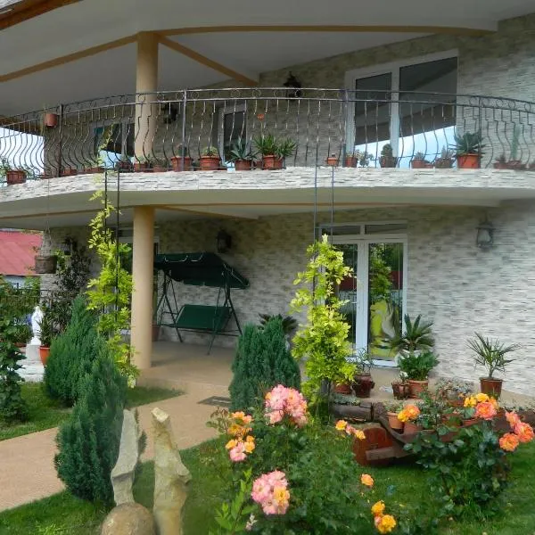 Pensiunea Casa Cornelia Mahmudia，位于Maliuc的酒店