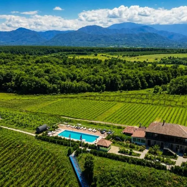 Chateau Vartsikhe,位于Varts'ikhe的酒店