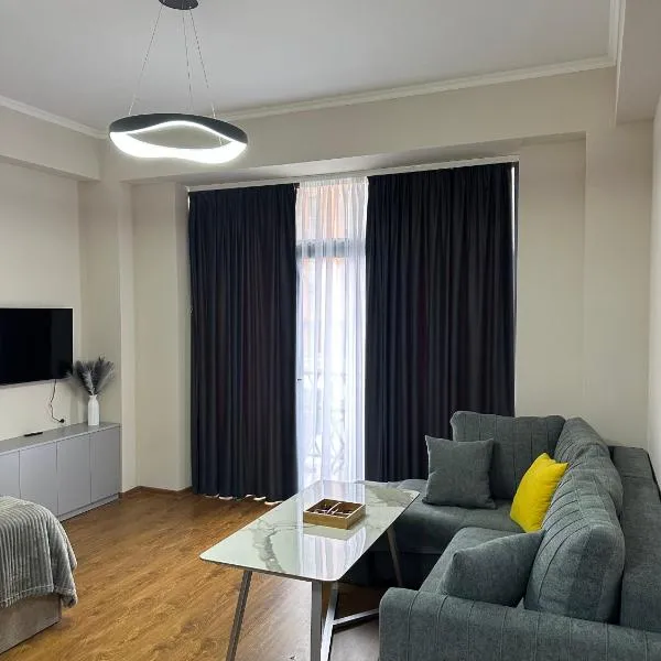 Studio 45 Apartment in Tsaghkadzor，位于萨克德佐尔镇的酒店